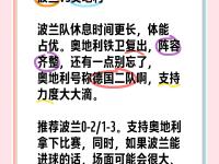 开云体育中国-波兰队战平奥地利，欧洲杯预赛小组赛出莫衷一是的简单介绍