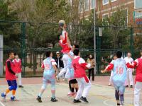 开云下载-关于趣味篮球比赛即将来袭，精彩纷呈的信息