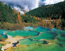 包含黄龙蒲江力压羊台山，根空九转方收天地玄机的词条