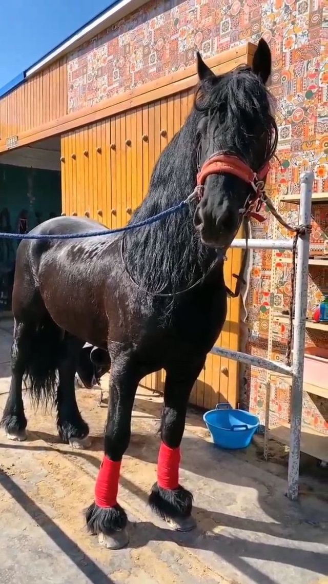 田径比赛惊现黑马，西班牙运动员夺魁