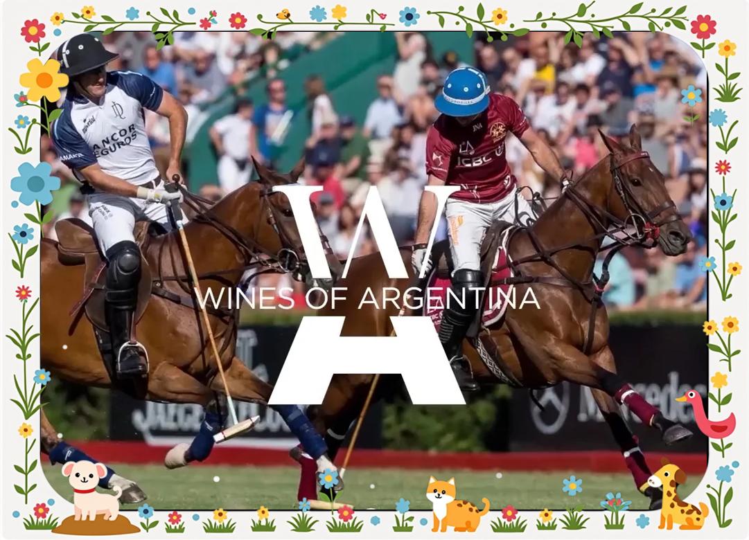 阿根廷代表团在马术比赛中夺得金牌 阿根廷代表团在马术比赛中夺得金牌